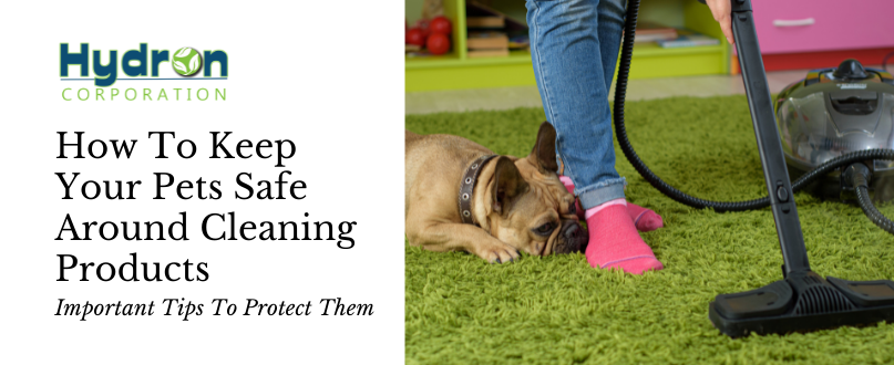 How To Keep Your Pets Safe Around Cleaning Products
