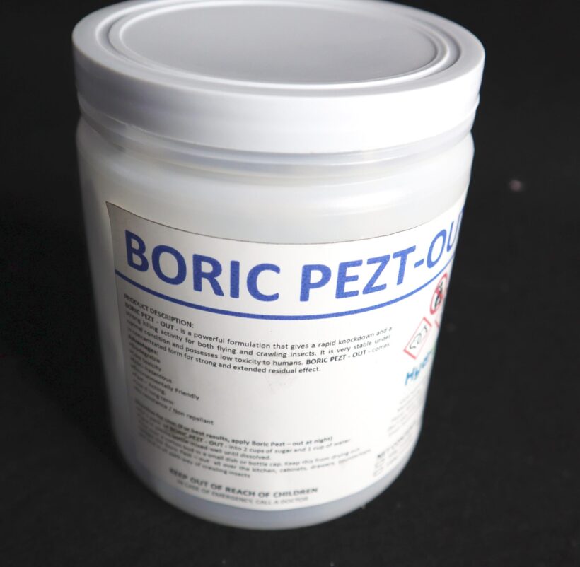 BORIC PEZT-OUT NATURAL CONTROL BORIC ACID BASED cleaning suppliers in the philippines
