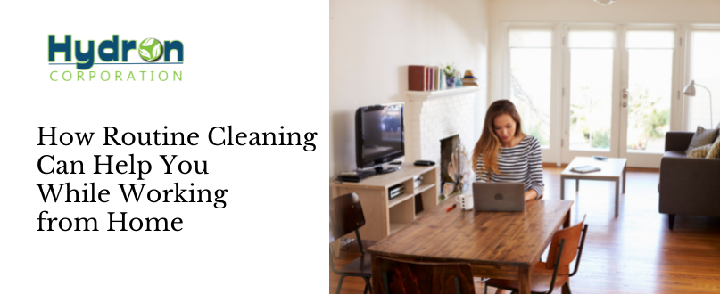 routine cleaning while working from home online cleaning supplies in the philippines