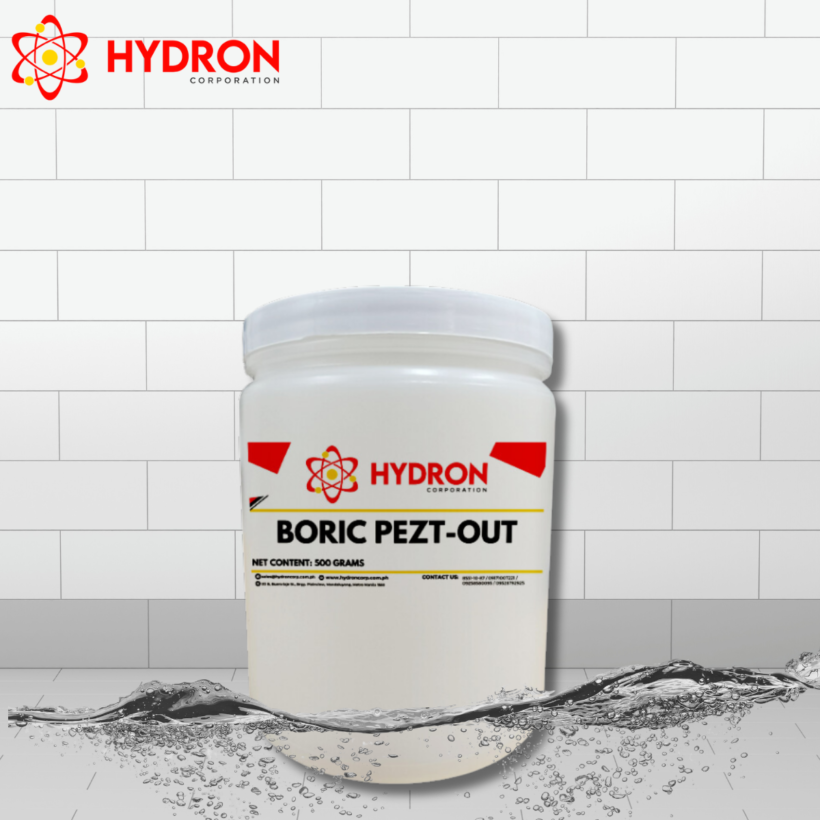 online cleaning supplies in the Philippines